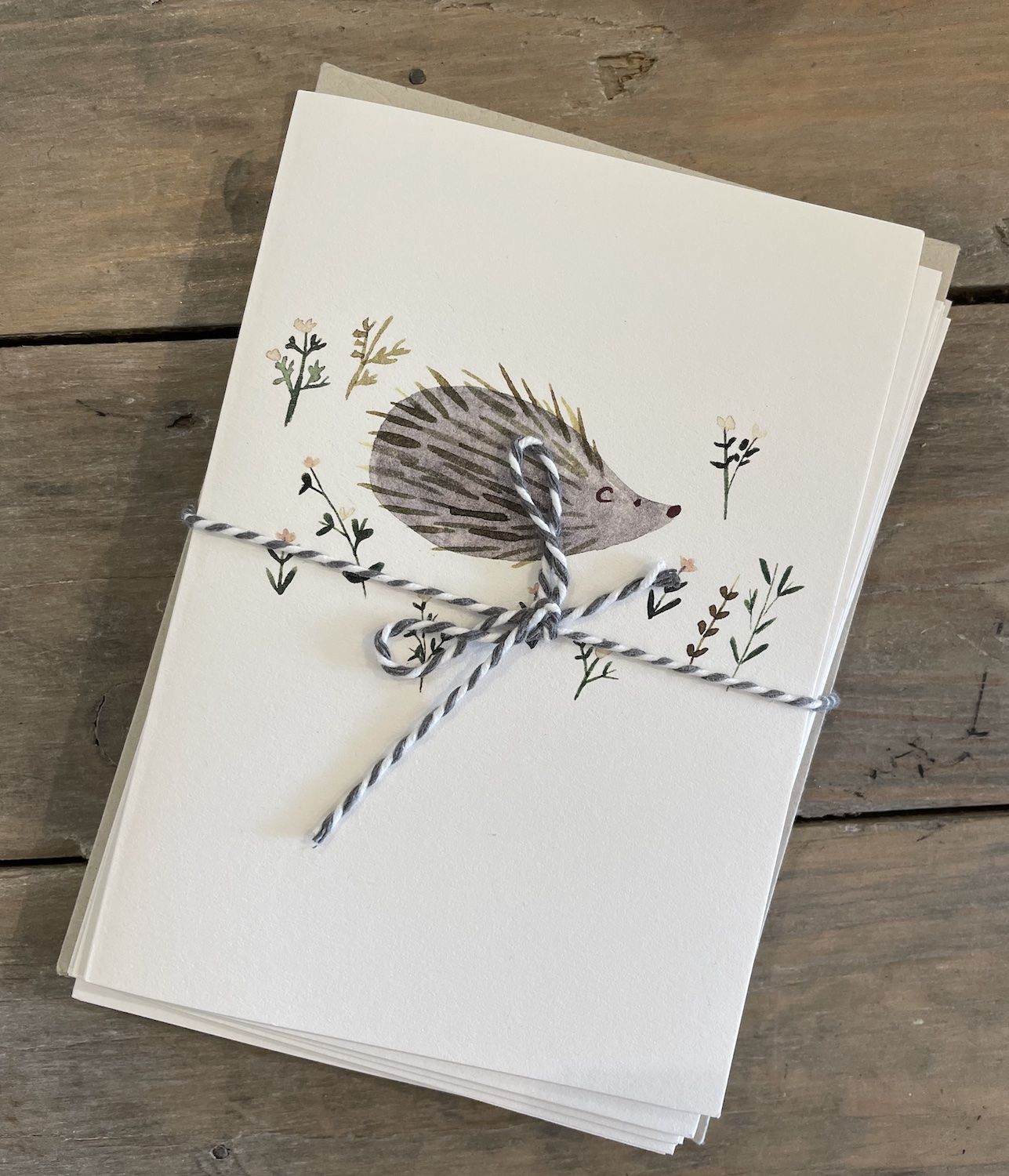 Hedgehog Greetings Cards